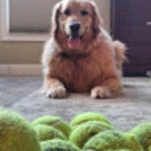 Meet your Posher, Sharon